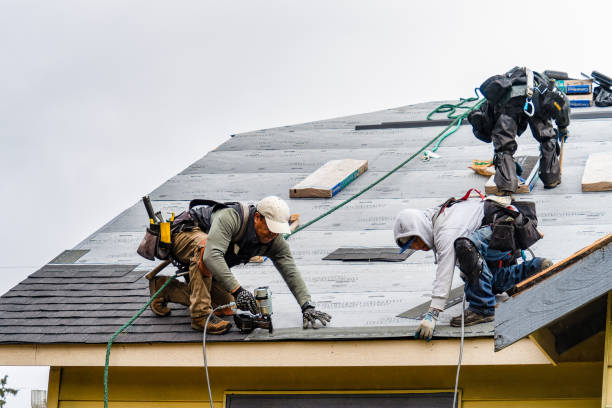 Professional Gutter Installation technician working in Creola, AL